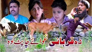 Da Qurbani Ghwai Cha Pat Ko || Islahi Video By Swat Kpk vines