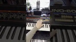 Synth Of The Week - Juno 60