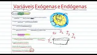 3 - Exogenous and Endogenous Variables | Econometrics