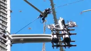 antenna wasp