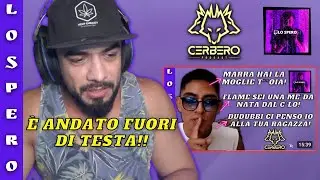 ERKOLE DIFENDE IL CERBERO DAGLI INSULTI GRAVISSIMI DI LUIS KANT AVVENUTI IN QUESTI GIORNI SU TWITCH!
