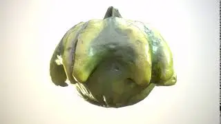 Patty Pan Squash - Beauty