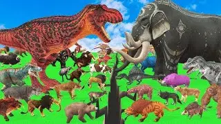 Prehistoric Mammals vs Albino Mammals Itself vs Mammoth vs Woolly Mammoth Animal Tiger, Elephant 