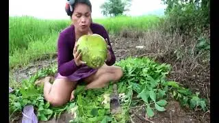 Sexy Girl Catch  Fishing Khmer Woman take snail make Bait for fishing in coconut