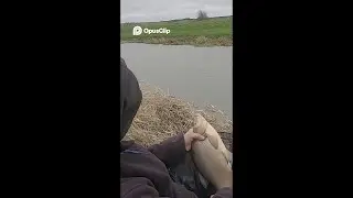 CATCHING RIVER WITHAM BREAM ON THE FEEDER