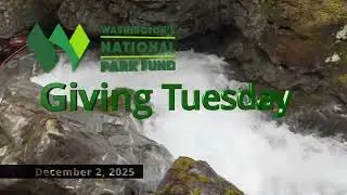 Perry Creek Falls- North Cascades National Park