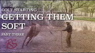 Colt Starting: Getting them Soft Part Three