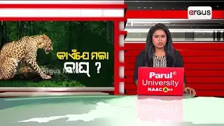 Who Is Responsible For Tiger's Death In Nuapada