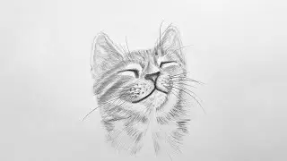 Cat pencil drawing process 🐱 | Daily Art Practice 