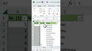 Numeroteaza rapid un tabel &icirc;n Excel