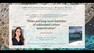 Risks and Long-Term Liabilities of Subseabed Carbon Sequestration