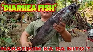 OILFISH THE LAXATIVE FISH | CAUGHT IN TRADITIONAL HANDLINE FISHING