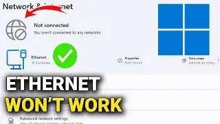 Как исправить проблемы с подключением к сети Ethernet в Windows 11 &mdash; пошаговая инструкция