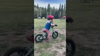 Cleary Gecko - Learning to pedal - run run run pedal pedal pedal