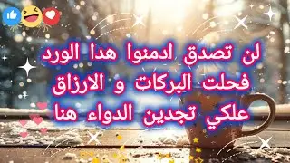 معجزات الصلاة الابراهيمية 😱و العادية 43 اقسم بالله كل قصة اروع من اختها في جبر الخاطر و تفريج الهم