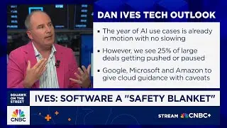 Wedbush's Dan Ives: The only safety in tech right now is software