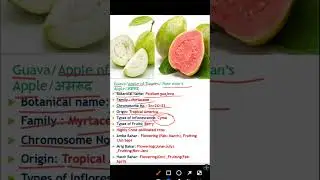 Guava Important Point || For all agricultural exams ||