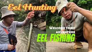 Eel Hunting full video adventure #eelfishing #eelcatch #palos #igathunting #igat #dailyvlog 