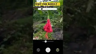 Snapseed Photo editing|Photo Editing malayalam| Snapseed