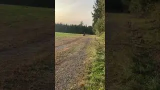 Taotao 125cc ATV full gas