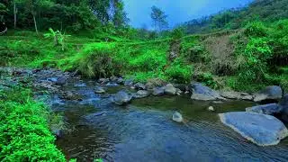 River Sound for Deep Sleep. Gentle Flowing Water for Relaxation, Meditation, Focus and Stress Relief