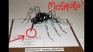 Mosquito (maqueta)