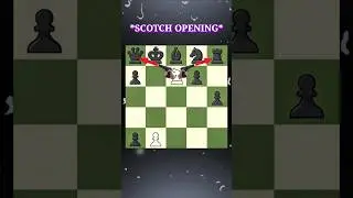 *SCOTCH OPENING* #shorts #chess
