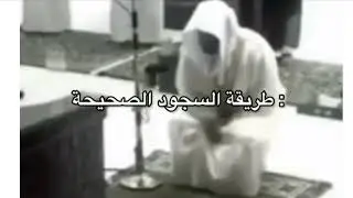 The correct way to prostrate &hearts;️