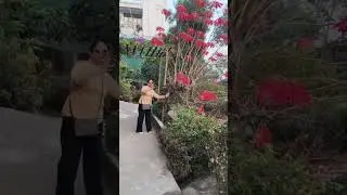 New outdoor shooting sight#for romantic song