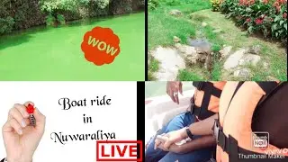 #Victoria park#Nuwaraliya#Boat ride#unforgettable trip#Mind Relaxing time