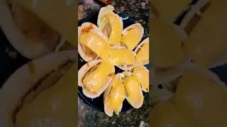Chicken Taco Recipe #Shorts #viral