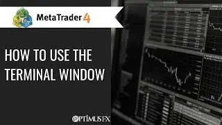 MetaTrader 4 (MT4) - How to use the Terminal window
