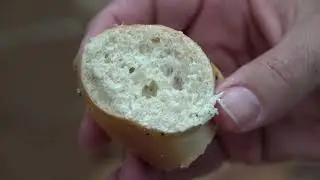 Davidovich Bakery Everything Bagel Comparison to Small Bagel Shop Bagels