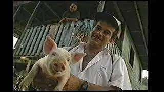 Adventures in Travel: Costa Rica Plus The French Riviera (1998)