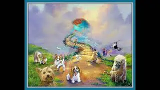 Doggy Heaven - Larry Huggins
