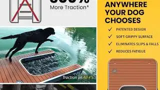 Water Dogs Rejoice! Floating Dock That&rsquo;s Safe, Tough & Fun! 🐾🌊