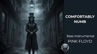 Pink Floyd &ndash; Comfortably Numb | The Fever Dream Steampunk Bass Cover