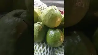 Guava fruits #shorts 🤤 Any Chill Guava 🔥 fans? 🙋🏻&zwj;♂️ #thetrichyfoodie  #shorts #streetfood