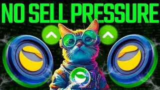 КЛАССИЧЕСКАЯ КОСМЕТИКА TERRA LUNA НОВОГО ТИПА! ВСЁ ИЗМЕНИЛОСЬ...