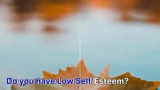 Low Self Confidence VS Unrealistic Standards