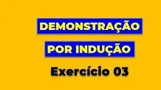 DEMONSTRAÇÃO POR INDUÇÃO: Exercício 03 - Aplicada no Cálculo da Derivada de um Polinômio!
