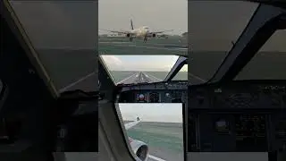 Scandinavian Airlines A330-300 Landing in Copenhagen | X-Plane 12