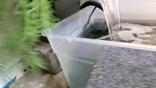 custom DIY nile monitor enclosure 4ft x 4ft x 8ft.