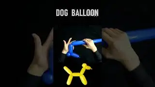 MAKE A DOG BALLOON ANIMAL! Easy Beginner's Tutorial
