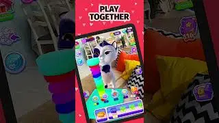 My Cat | Virtual Pet Adventures in Minecraft!
