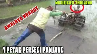 Bibit padi bagus bagus terpaksa digaru walau masih banyak dengan traktor sawah 