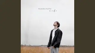 Wonderfully Made