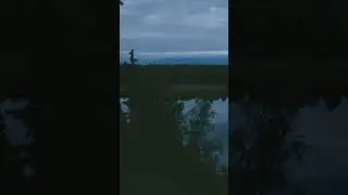 Take a Lakeside Land of the Midnight Sun Break - Alaska Cabin Life