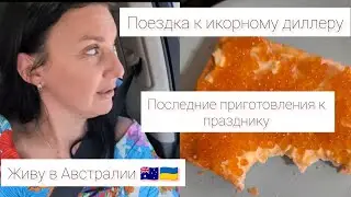 Живу в Австралии 🇦🇺🇺🇦. Последние приготовления . Соседке  все неймётся #австралия #україна 