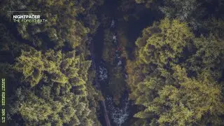 Nightpacer - The Forest Path